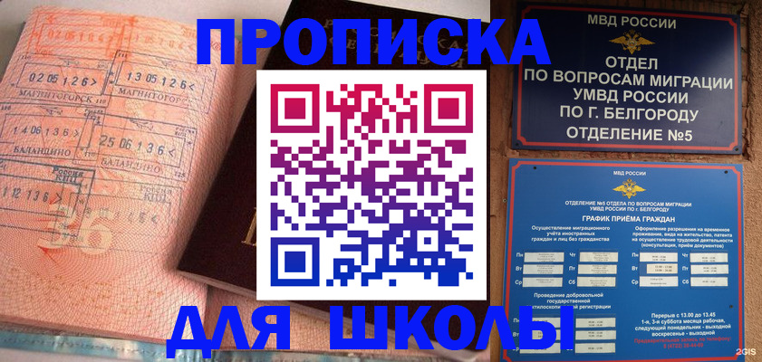 прописка иностранных граждан в Кировске